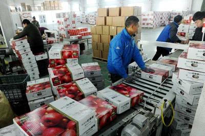 國家林草局組織產銷對接助力林業復產復工，暢通產品銷售渠道